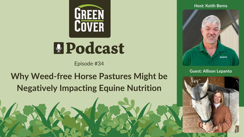 Why Weed-Free Horse Pastures Make Horses Sick