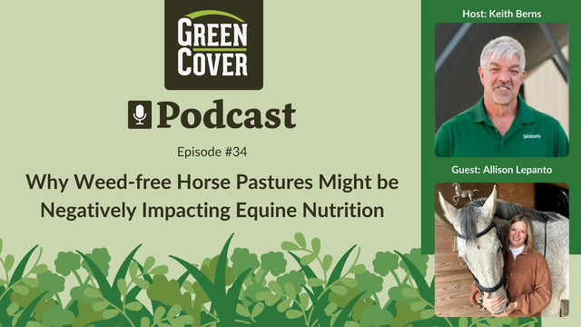 Why Weed-Free Horse Pastures Make Horses Sick