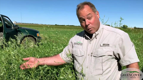 Grasshopper Control Without Killing Beneficial Insects