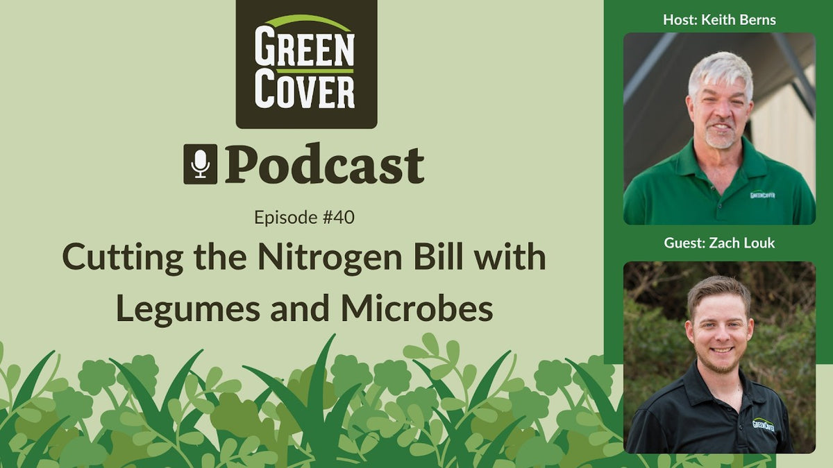 Cut Your Nitrogen Bill with Hairy Vetch, Winter Peas, and Microbes