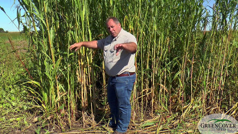 Warm Season Deer Mix: Design and Planting Strategy