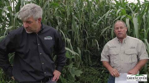 Why Mix Cover Crops Instead of Planting Single Species