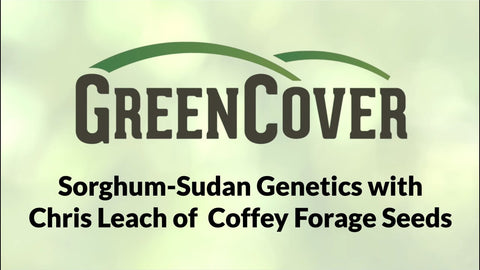 Sorghum Sudan Genetics: Choosing the Right Variety for Your Operation