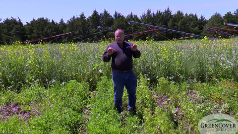 Berseem Clover Varieties: Choosing Between Single Cut and Multi-Cut Types