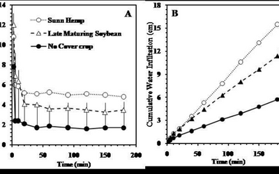 Will a Cover Crop Use Up All My Moisture?