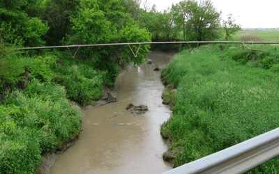 Cover Crops and Water Quality