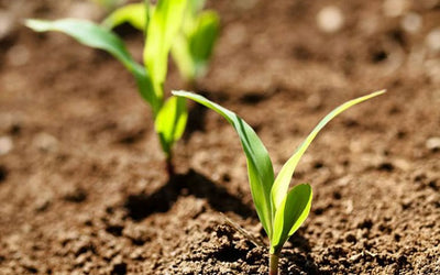 Herbicide Test Kit