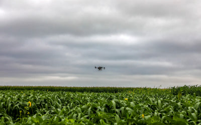 How to Successfully Drone Seed a Cover Crop