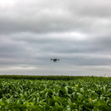 How to Successfully Drone Seed a Cover Crop