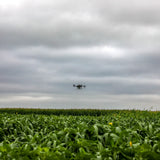How to Successfully Drone Seed a Cover Crop