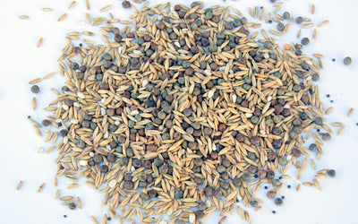 How to build the perfect cover crop mix