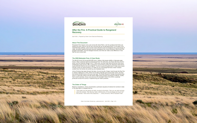 A Practical Guide to Rangeland Recovery After Fire