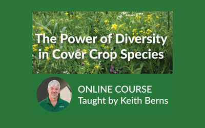 The Power of Diversity in Cover Crop Species