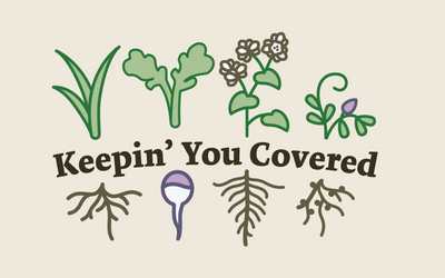 Keepin' You Covered Newsletter