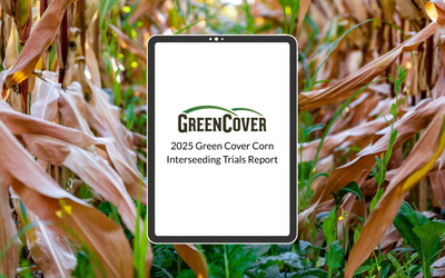 Corn Interseeding Report 2025