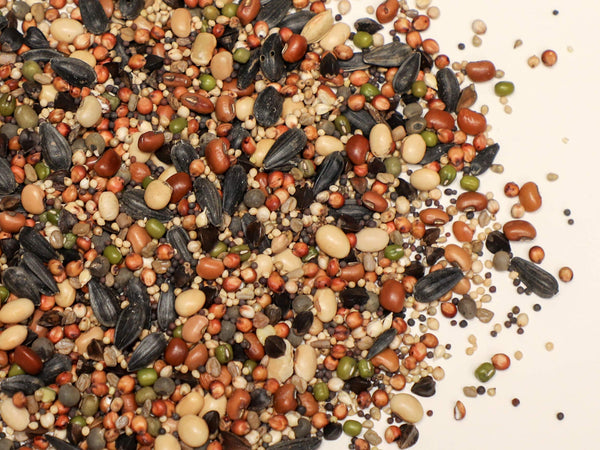 Warm Season Grazing Mix