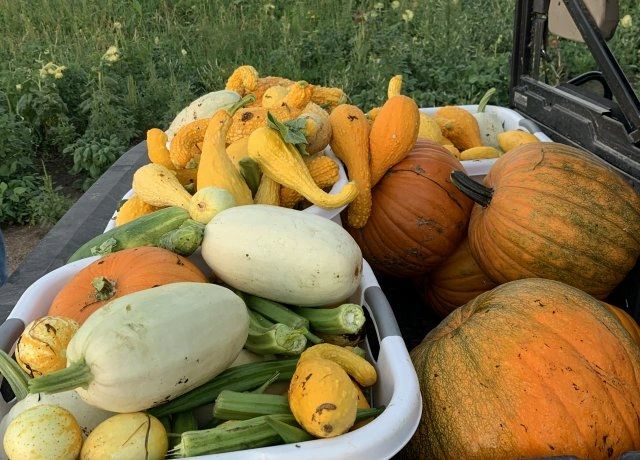 Use soil health to feed your neighbors