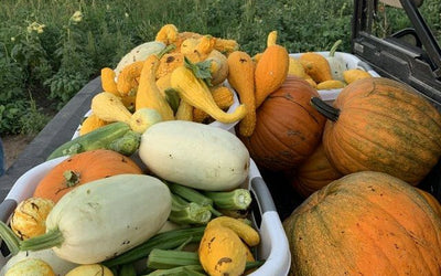 Use soil health to feed your neighbors