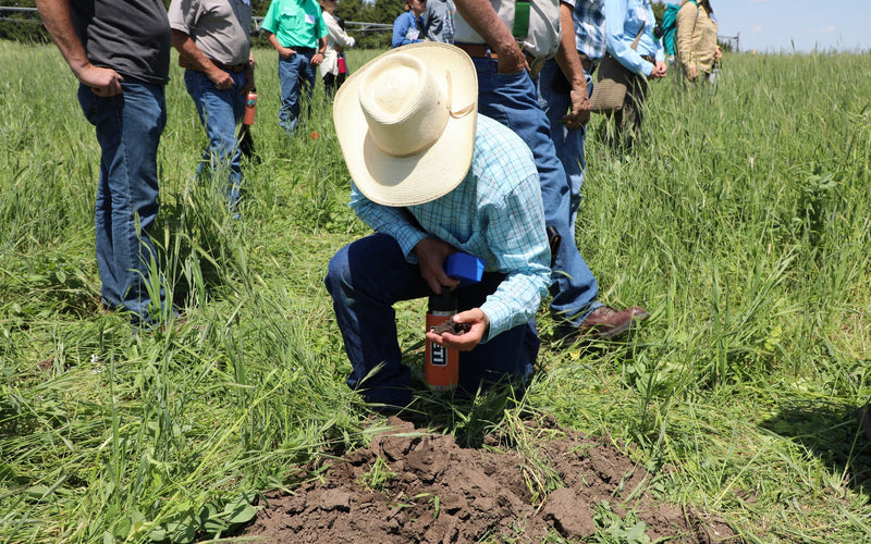 Regenerative Nexus: The Best ROI For Your Farm