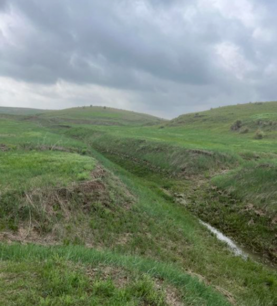 How Cover Crops can help you manage moisture better