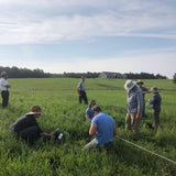 The 1,000 Farms Initiative