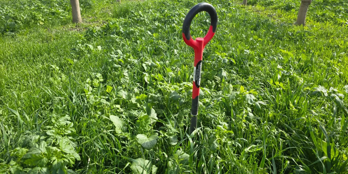 Regenerative Disease and Pest Control in Orchards