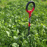 Regenerative Disease and Pest Control in Orchards