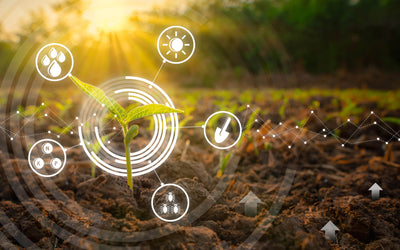 Photosynthesis  - The Basis Of Life
