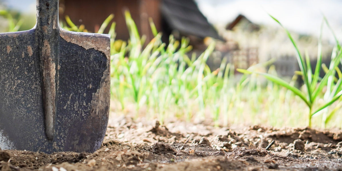 “I Increased My Soil Organic Matter”