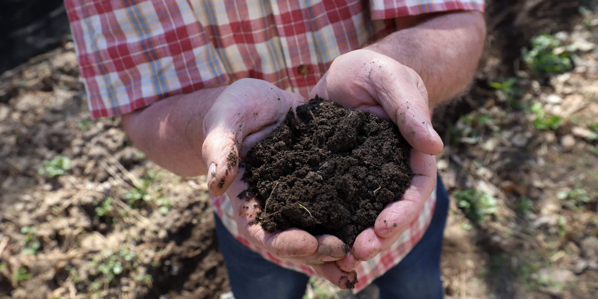 Hands holding dark, rich soil that is healthy and forming aggregates from regenerative treatment through "the biotic climate."