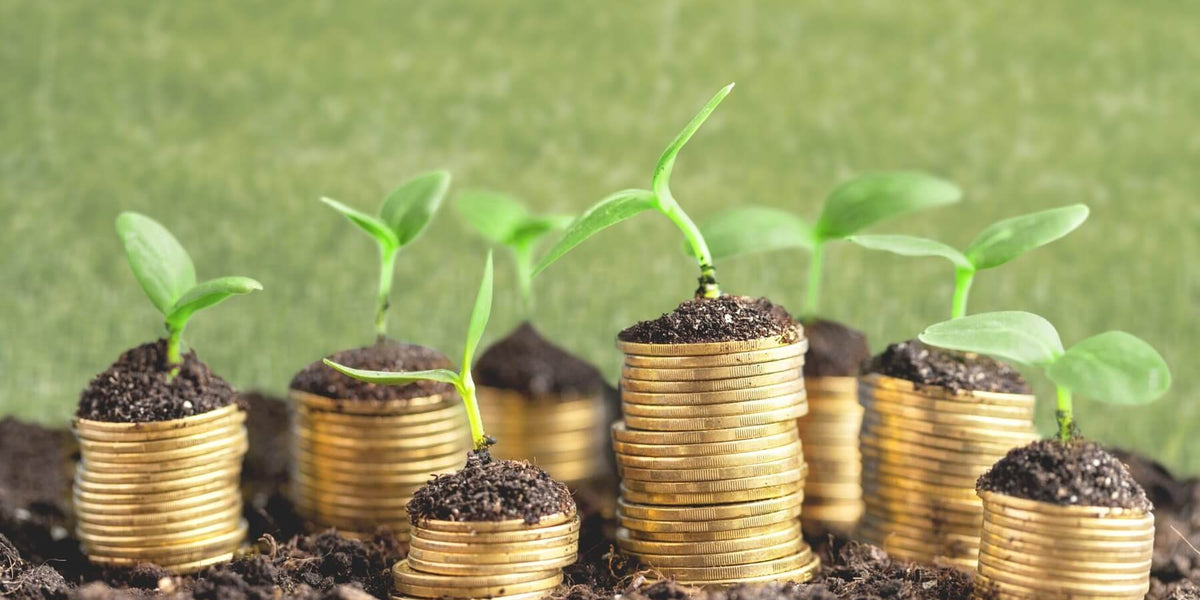 Carbon - The Currency Required for Soil Health