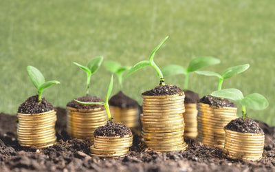 Carbon - The Currency Required for Soil Health