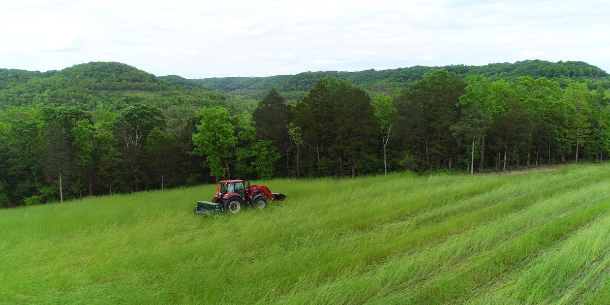 From Rocky Ground to Thriving Wildlife