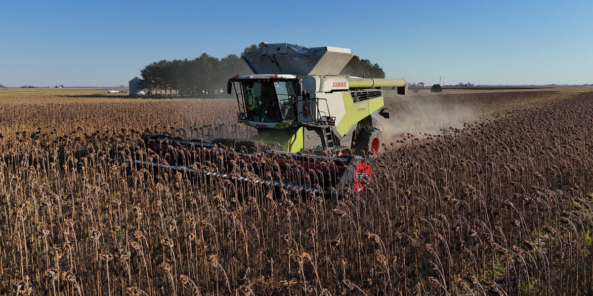 Cover Crops for Row Crops: One Farmer's 50% Input Cut