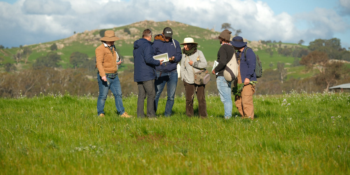 Ag Needs Fewer Experts and More Coaches