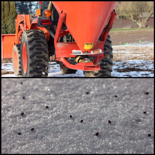 Have You Considered Frost Seeding