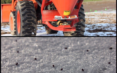 Have You Considered Frost Seeding