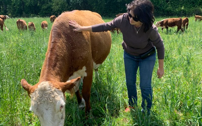 Livestock Integration