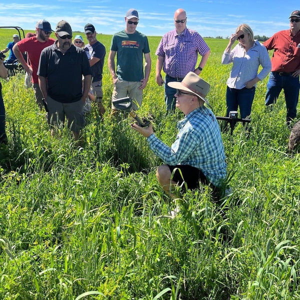 Minimizing Disturbance in Cropping Systems