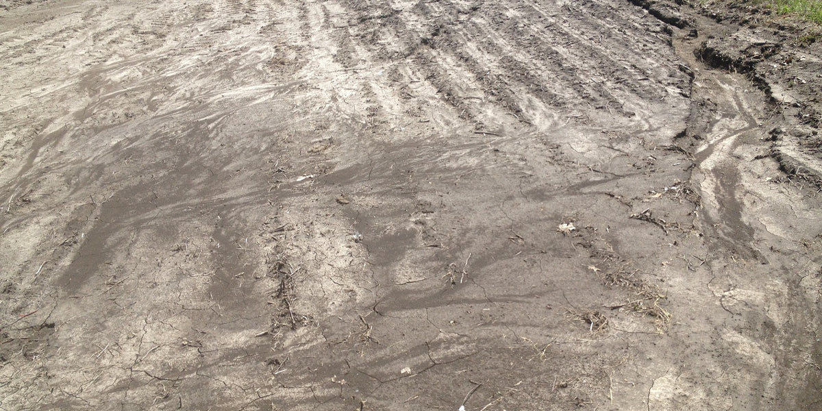Minimize Soil Disturbance