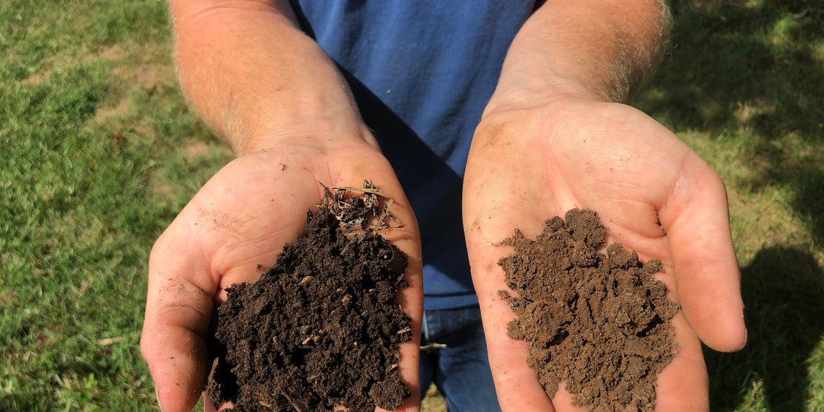 Carbon: The Currency Required for Soil Health