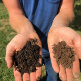 Carbon: The Currency Required for Soil Health