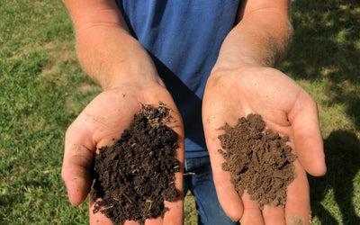Carbon: The Currency Required for Soil Health