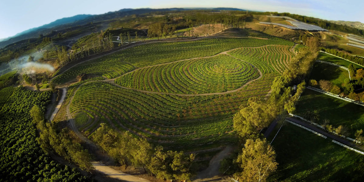 Soil Health Principles - Maximizing Biodiversity