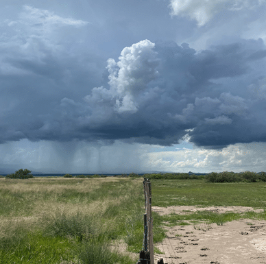 A fenceline image: on the left, the Parritas Ranch has used regenerative practices and has grass and is receiving rain. On the right, the ground is bare in areas and the grass is very short. It is not raining here.