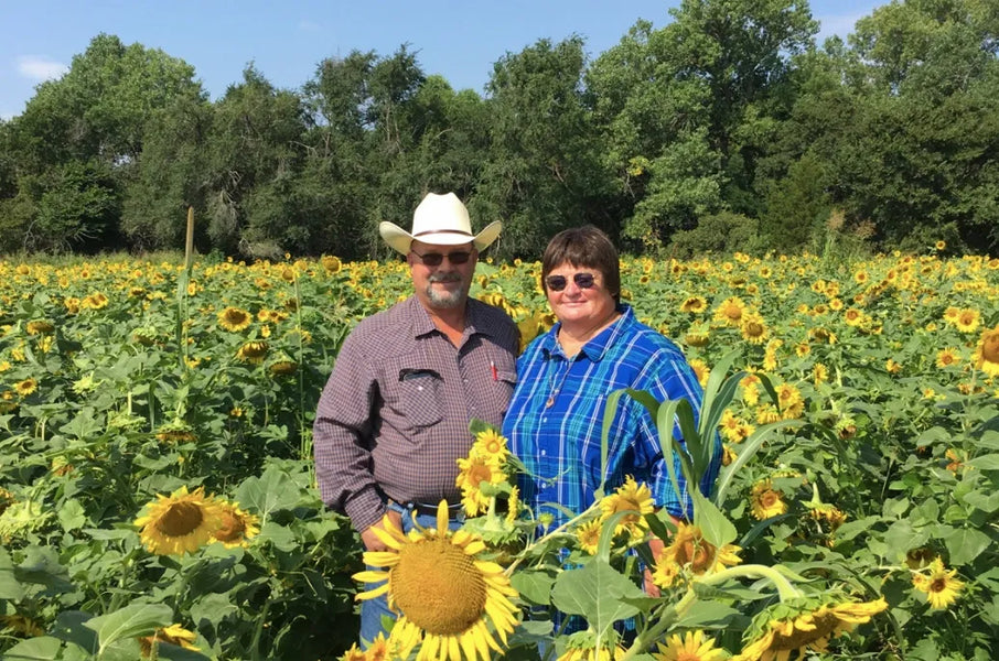Produce Harvested From “Chaos Garden” Cover Crops