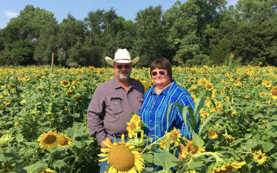 Produce Harvested From “Chaos Garden” Cover Crops