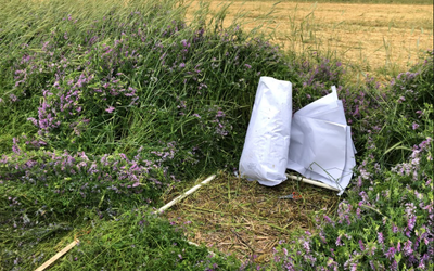 A New Perspective On A Nitrogen Nightmare