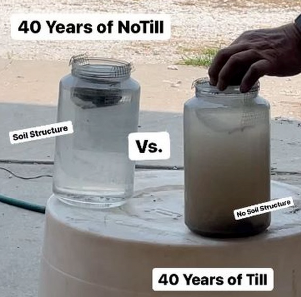 How Cover Crops Create Cleaner Water