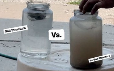 How Cover Crops Create Cleaner Water